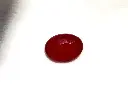 IMG-20250324-WA0028.webp