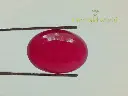 IMG-20250324-WA0003.webp