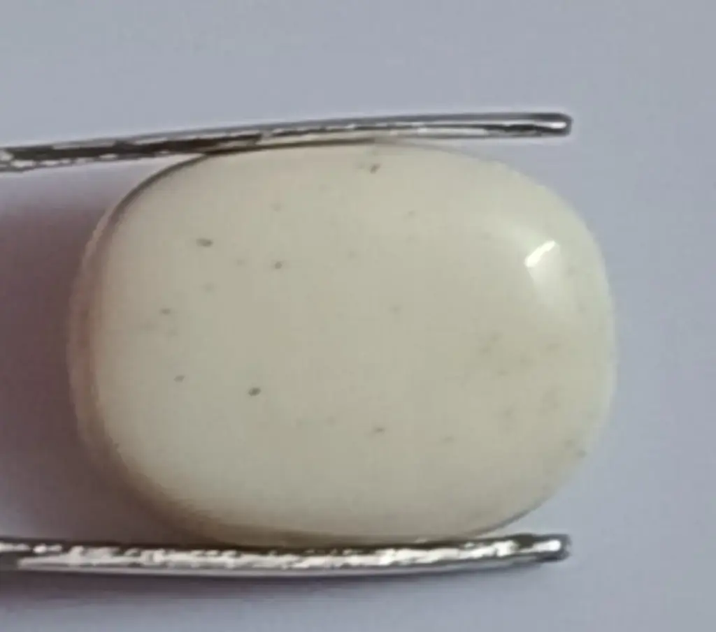 White Coral ( 10.07 Carat )