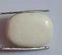 White Coral ( 10.07 Carat )