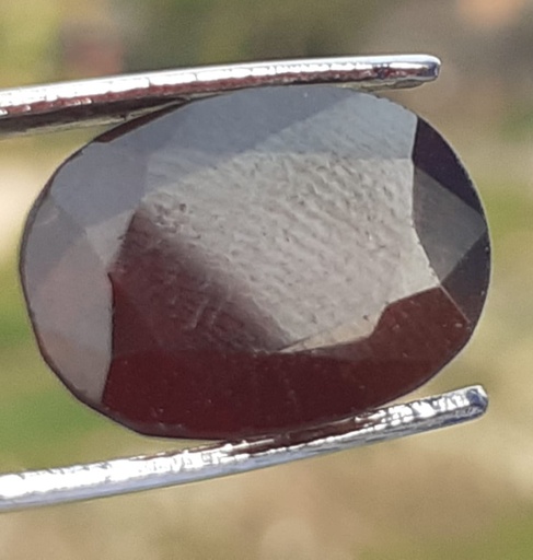 Garnet [ 9.75 Carat ]