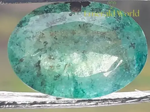 Beryl Emerald ( 6. 20 Carat )