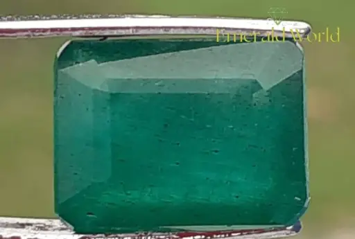 Emerald (6.9 Carat )