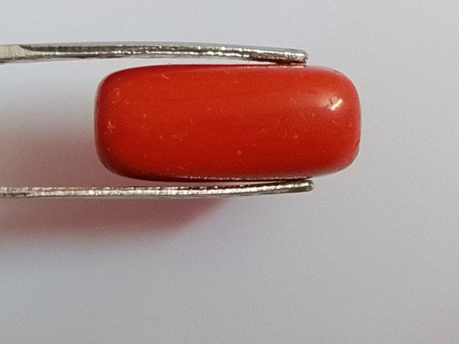 Red Coral ( 10.25 Carat )
