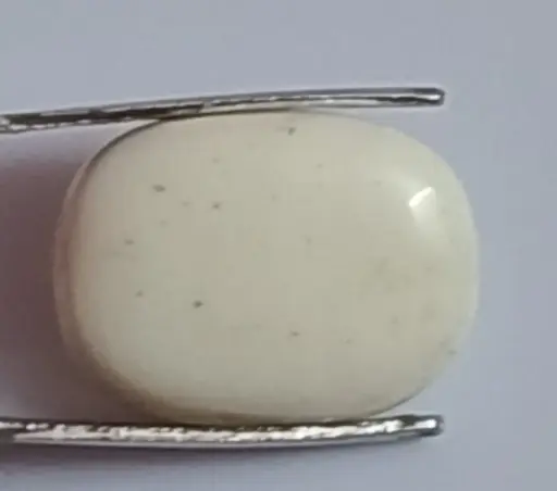 White Coral ( 10.07 Carat )