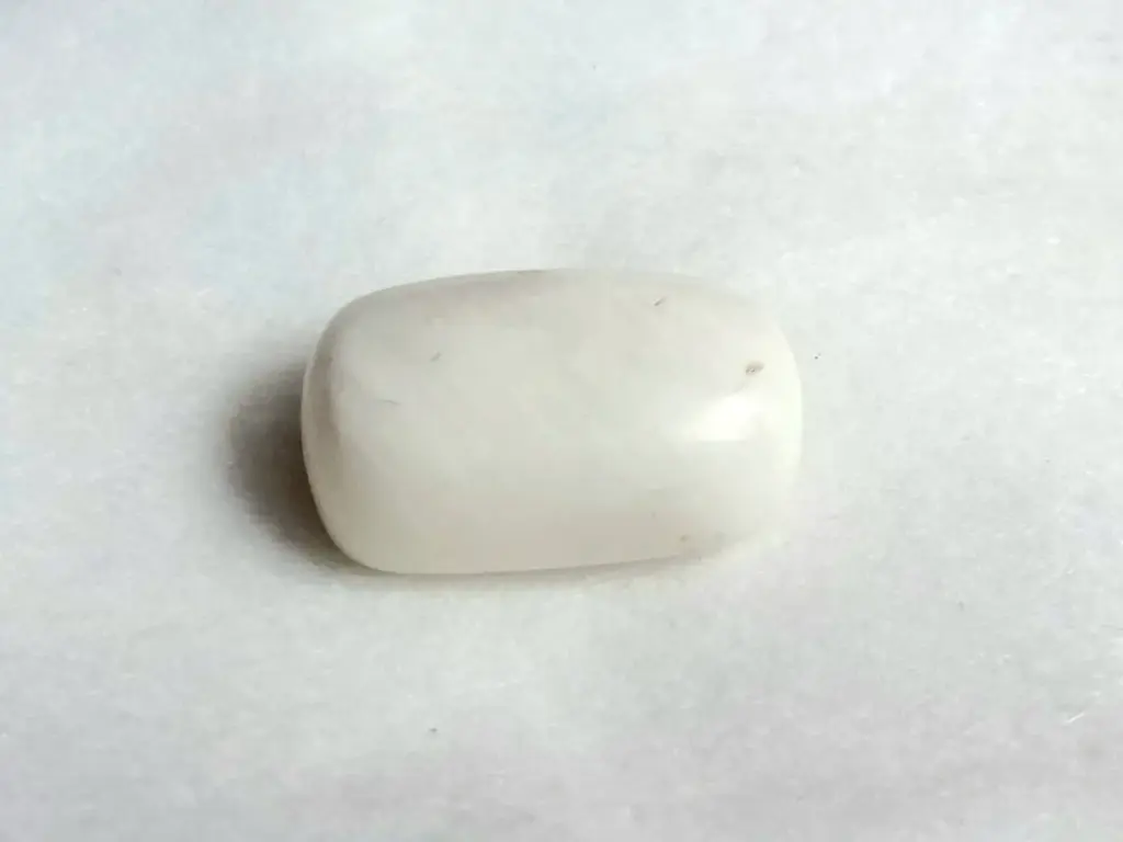 White Coral ( 9.40 Carat )