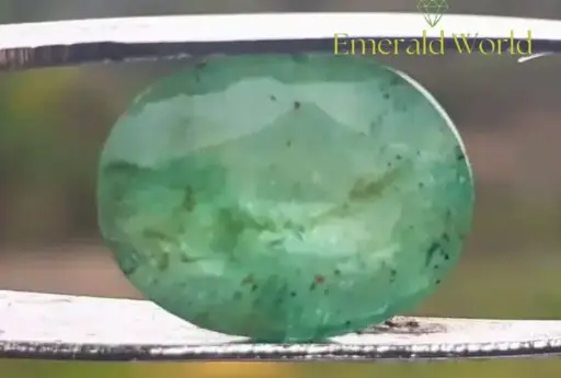 Zambian Beryl Emerald [ 6.05 Carat ]