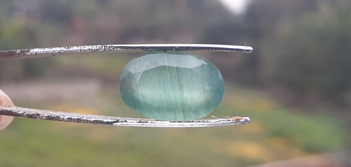 Zambian Emerald [ 6.4 Carat ] Gemstone